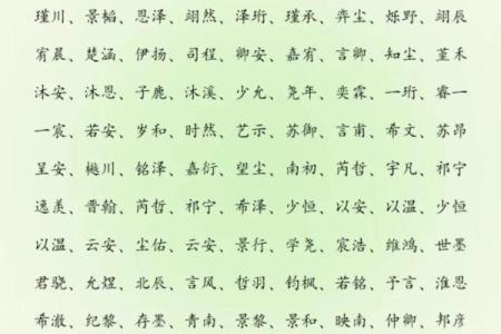 2019年3月27号卯时出生的男孩应该起什么样的名字姓名