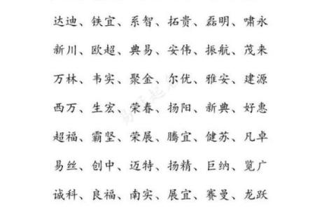 怎样给一月份出生属马的男孩取名字姓名