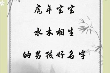 2019年4月3号寅时出生的男孩应该起什么样的名字姓名