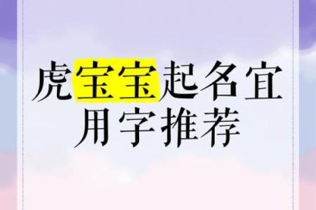 上午10点出生的属虎男孩如何起名，宜用什么字姓名