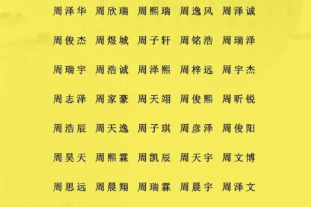 下午2点出生的属蛇男孩如何起名，宜用什么字姓名
