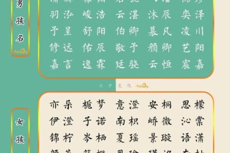 2019年3月28号丑时出生的男孩要怎么起名字姓名