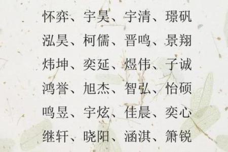 如何给属狗酉时出生的男孩起名，宜用哪些字姓名