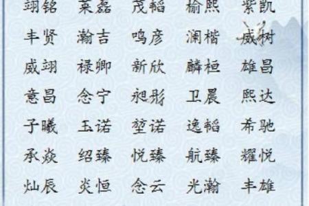 2019年4月17号寅时出生的男孩要怎么起名字姓名