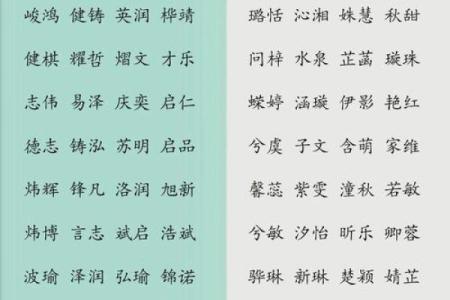2019年5月5号卯时出生的男孩起名时要注意什么姓名