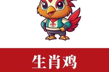 给凌晨2点出生的属鸡男孩取名字怎么取才合适姓名