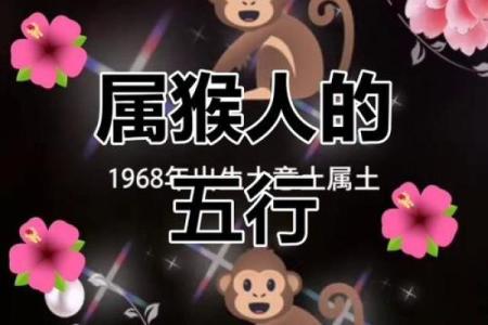 12月份出生的属猴男孩如何取名是好-姓名