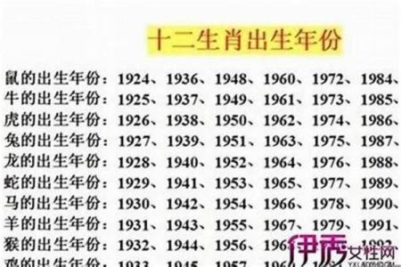 如何给属兔子时出生的男孩取名字姓名