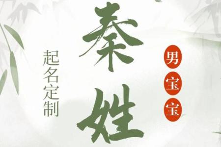 秦姓男孩名字大全-秦姓男孩起名字大全-秦姓名字大全姓名