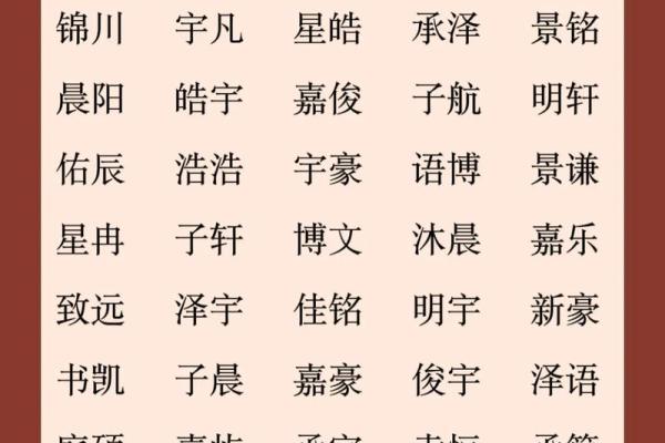 属蛇辰时出生的男孩如何取名字，适合用什么字姓名