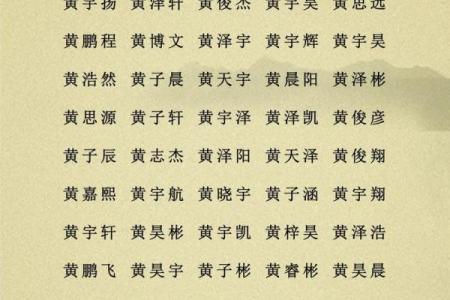 2019年6月12号卯时出生的男孩要怎么起名字姓名