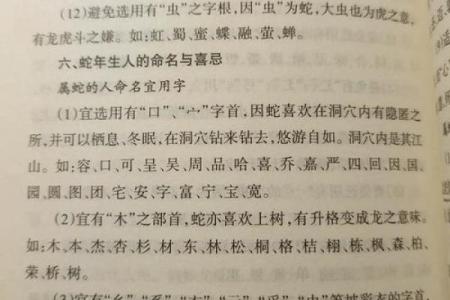 属蛇辰时出生的男孩如何取名字，适合用什么字姓名