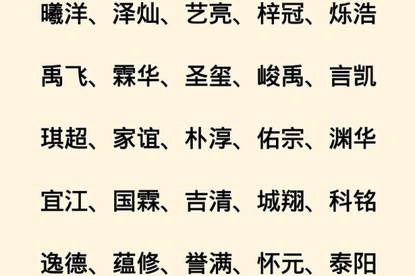 2019年5月25号卯时出生的男孩起名方法姓名