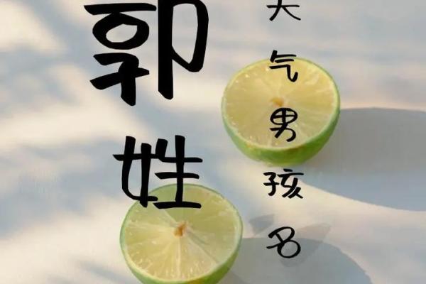 郭姓男孩名字大全-郭姓男孩起名字大全-郭姓名字大全姓名 郭姓男孩名字大全-郭姓男孩起名字大全-郭姓名字大全姓名