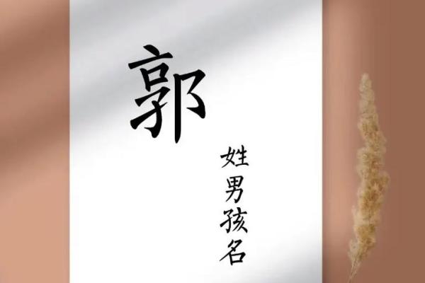 郭姓男孩名字大全-郭姓男孩起名字大全-郭姓名字大全姓名 郭姓男孩名字大全-郭姓男孩起名字大全-郭姓名字大全姓名