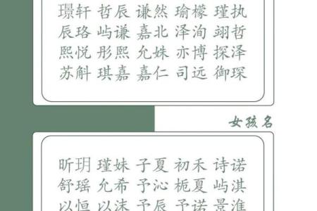 2019年6月17号子时出生的男孩起名时要注意什么姓名