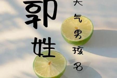 郭姓男孩名字大全-郭姓男孩起名字大全-郭姓名字大全姓名