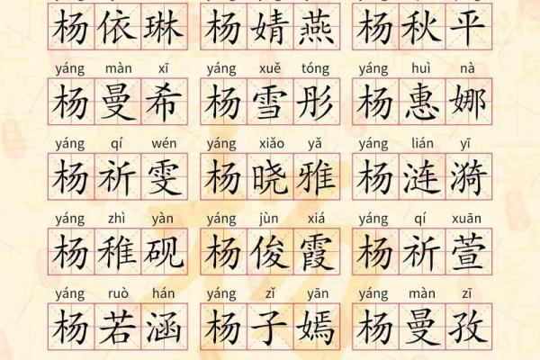 杨姓男孩名字大全-杨姓男孩起名字大全-杨姓名字大全姓名