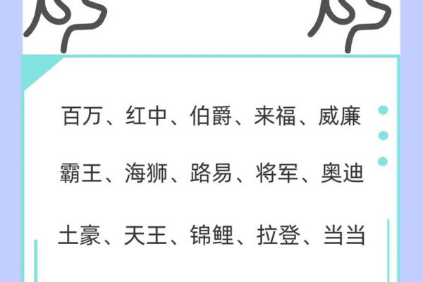 下午四点出生的属狗男孩怎么取名，用什么字好姓名