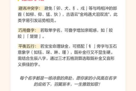 7月份出生的属鸡男孩怎么起名姓名