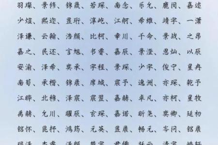 2019年4月14号寅时出生的男孩如何起名姓名