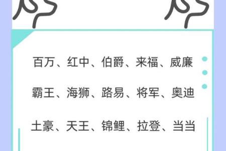 下午四点出生的属狗男孩怎么取名，用什么字好姓名