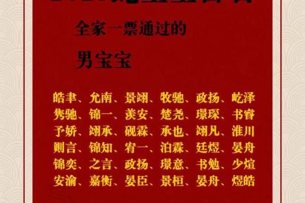 晚上9点出生的属蛇男孩该如何起名，适合用什么字姓名