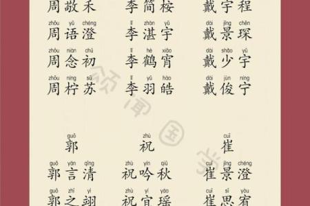 晚上9点出生的属蛇男孩该如何起名，适合用什么字姓名