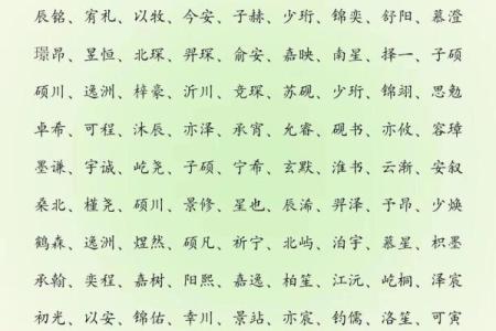 2019年5月14号寅时出生的男孩应该起什么样的名字姓名