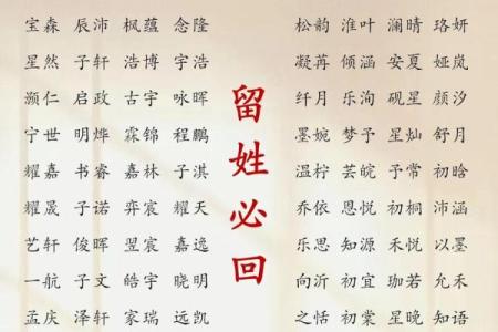 2019年6月13号卯时出生的男孩应该起什么样的名字姓名