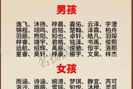 2019年6月6号丑时出生的男孩如何起名姓名