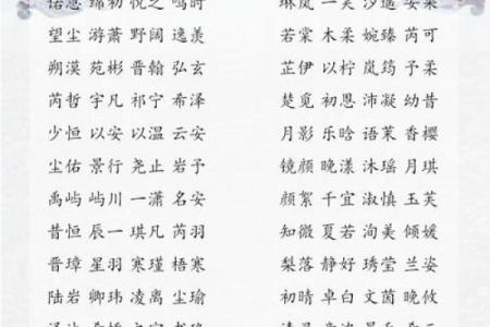 2019年5月30号卯时出生的男孩如何起名姓名