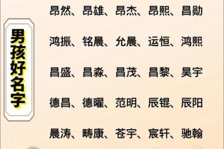 2019年3月30号卯时出生的男孩起名方法姓名