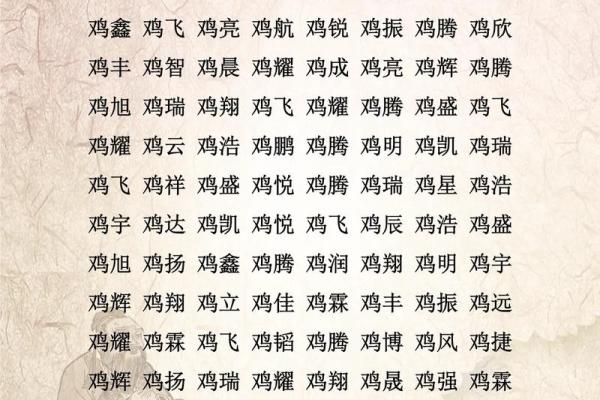 怎么样给早上8点出生的属鸡男孩起名字好姓名