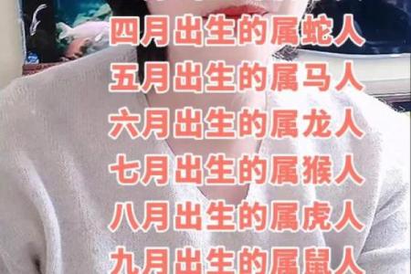 怎么样给早上8点出生的属鸡男孩起名字好姓名