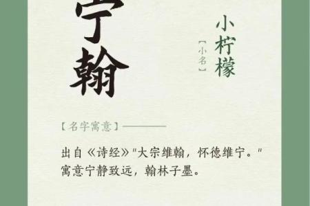 2月份出生的属蛇男孩适合取什么名字姓名