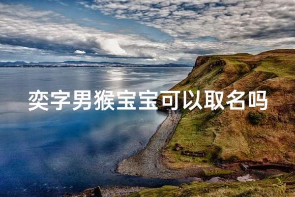 3月份出生的属猴男孩要怎么取名-姓名