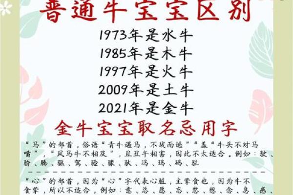 凌晨2点出生的属牛男孩应该用什么字取名字好姓名