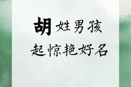 2019年6月6号寅时出生的男孩起名方法姓名