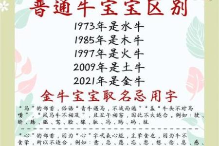 凌晨2点出生的属牛男孩应该用什么字取名字好姓名