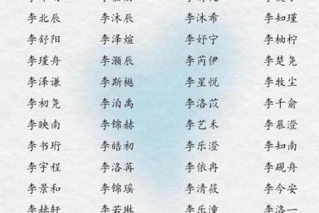 李姓男孩名字大全-李姓男孩起名字大全-李姓名字大全姓名