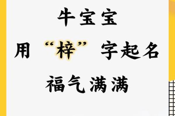什么字适合给中午12点出生的属牛男孩起名姓名
