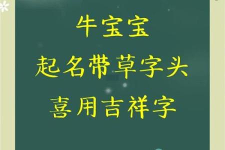什么字适合给中午12点出生的属牛男孩起名姓名