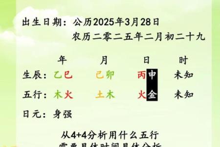 2019年3月28号辛时出生的男孩如何起名姓名