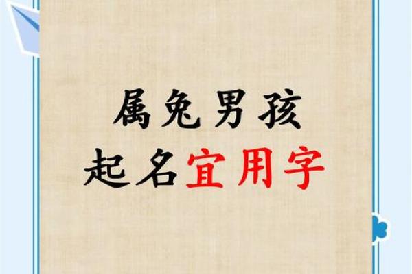 早上8点出生的属兔男孩如何取名姓名
