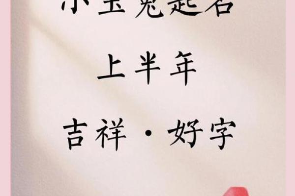 早上8点出生的属兔男孩如何取名姓名