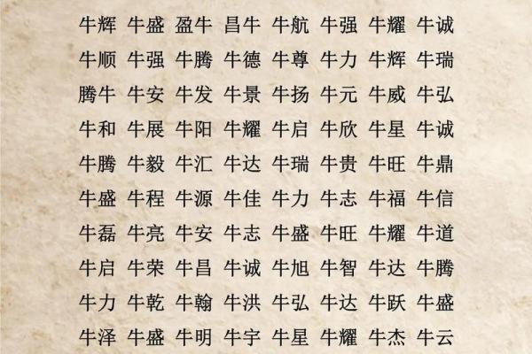 早上6点出生的属牛男孩如何起名，宜用什么字姓名