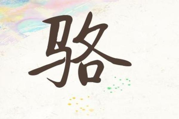 骆姓男孩名字大全-骆姓男孩起名字大全-骆姓名字大全姓名
