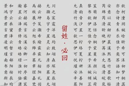 2019年6月29号丑时出生的男孩要怎么起名字姓名