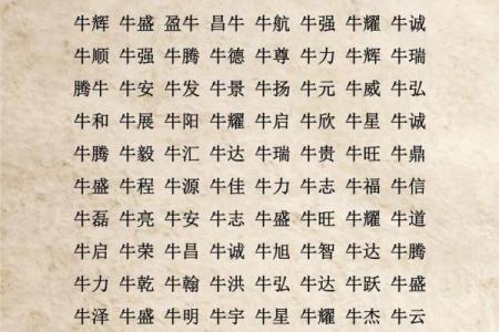 早上6点出生的属牛男孩如何起名，宜用什么字姓名